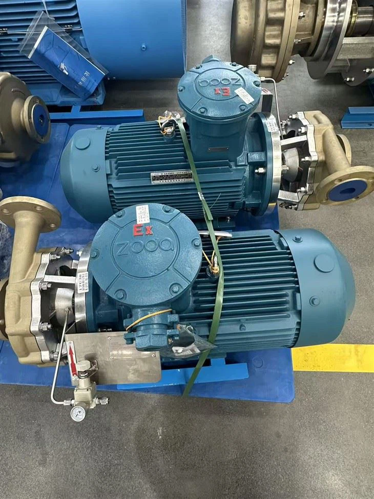 Hágæða EX mótor Cryogenic miðflótta dæla